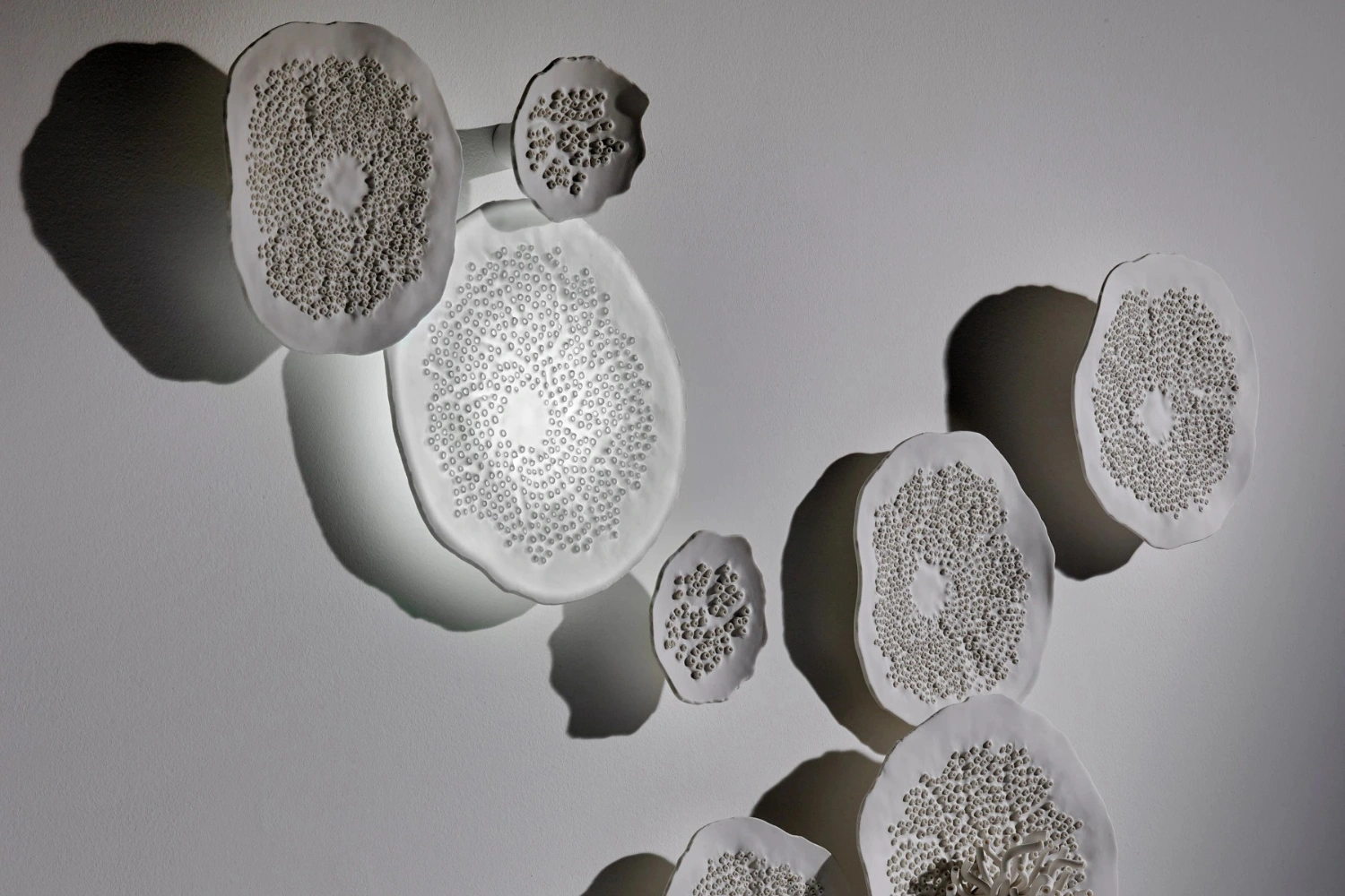 Arandela Porifera 3