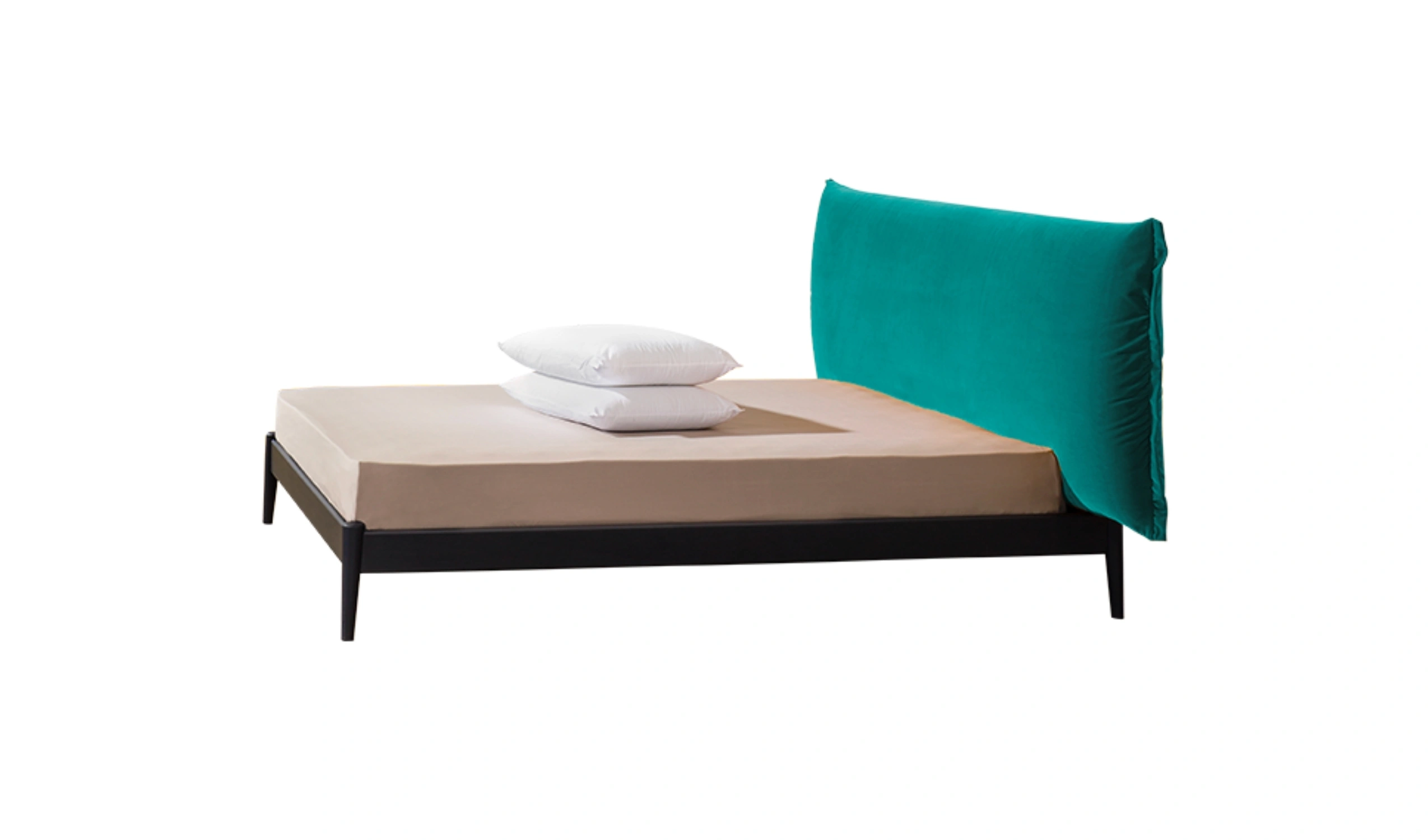 Cama Shiko Wonder
