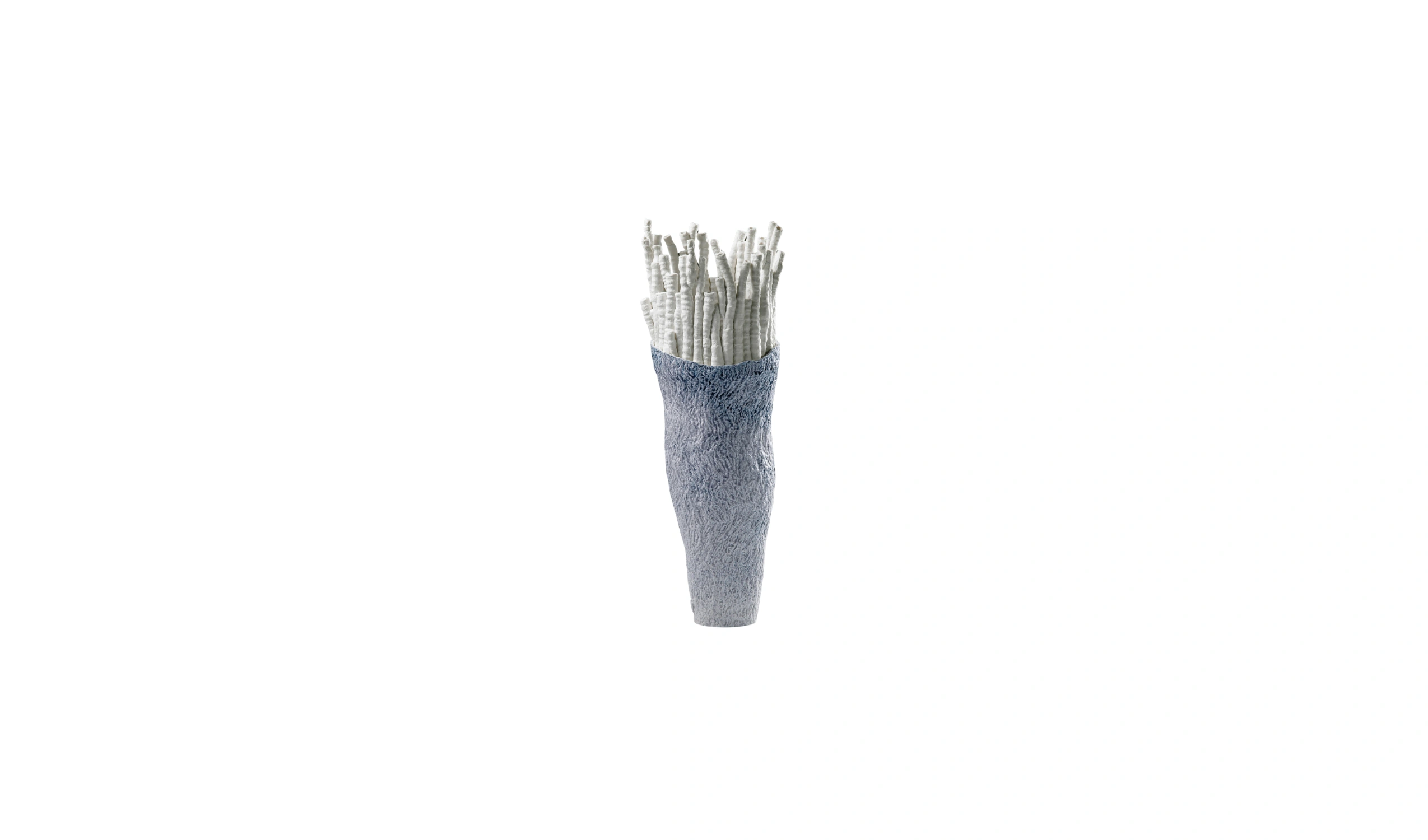 Vaso Anthozoa Akanthos 1