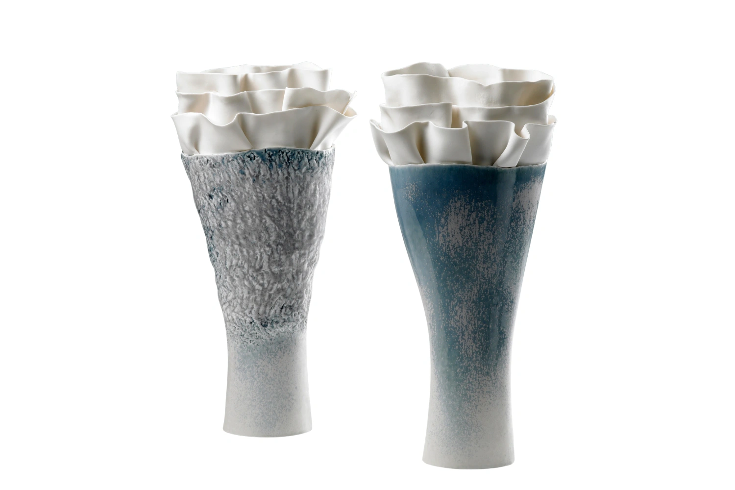 Vaso Anthozoa Flora 1