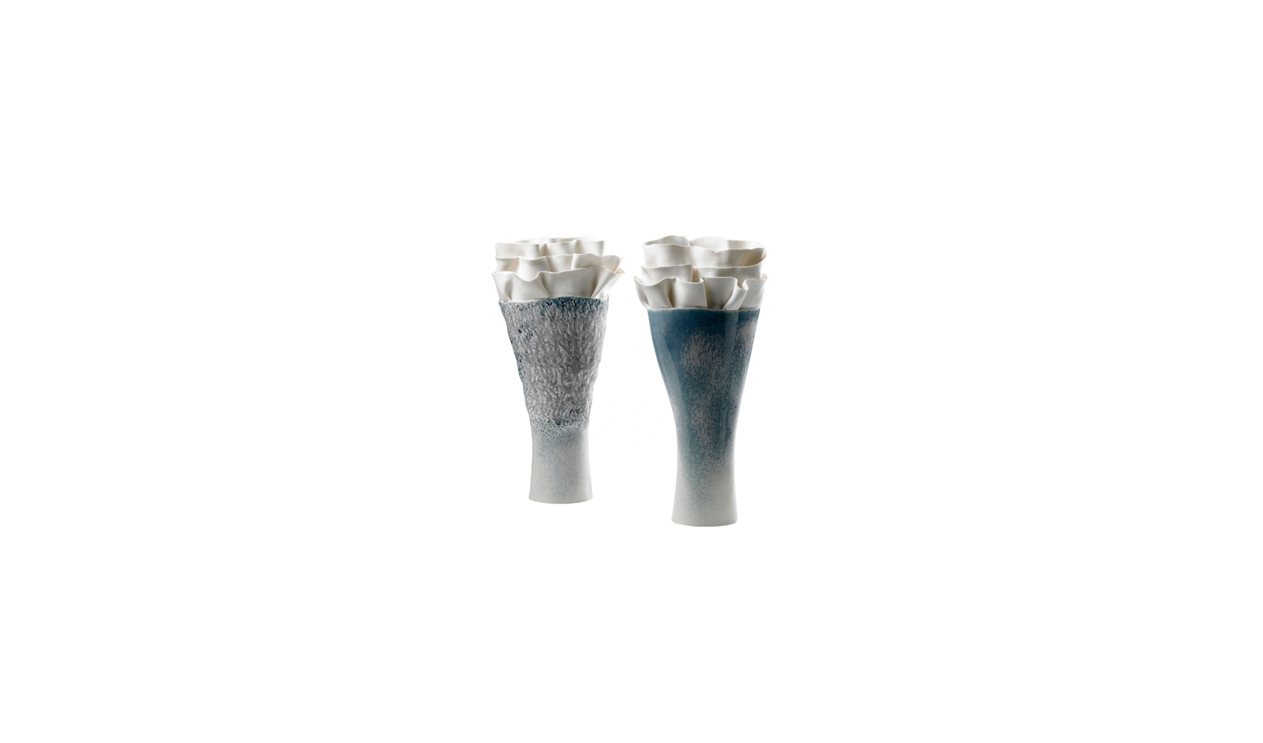 Vaso Anthozoa Flora 2