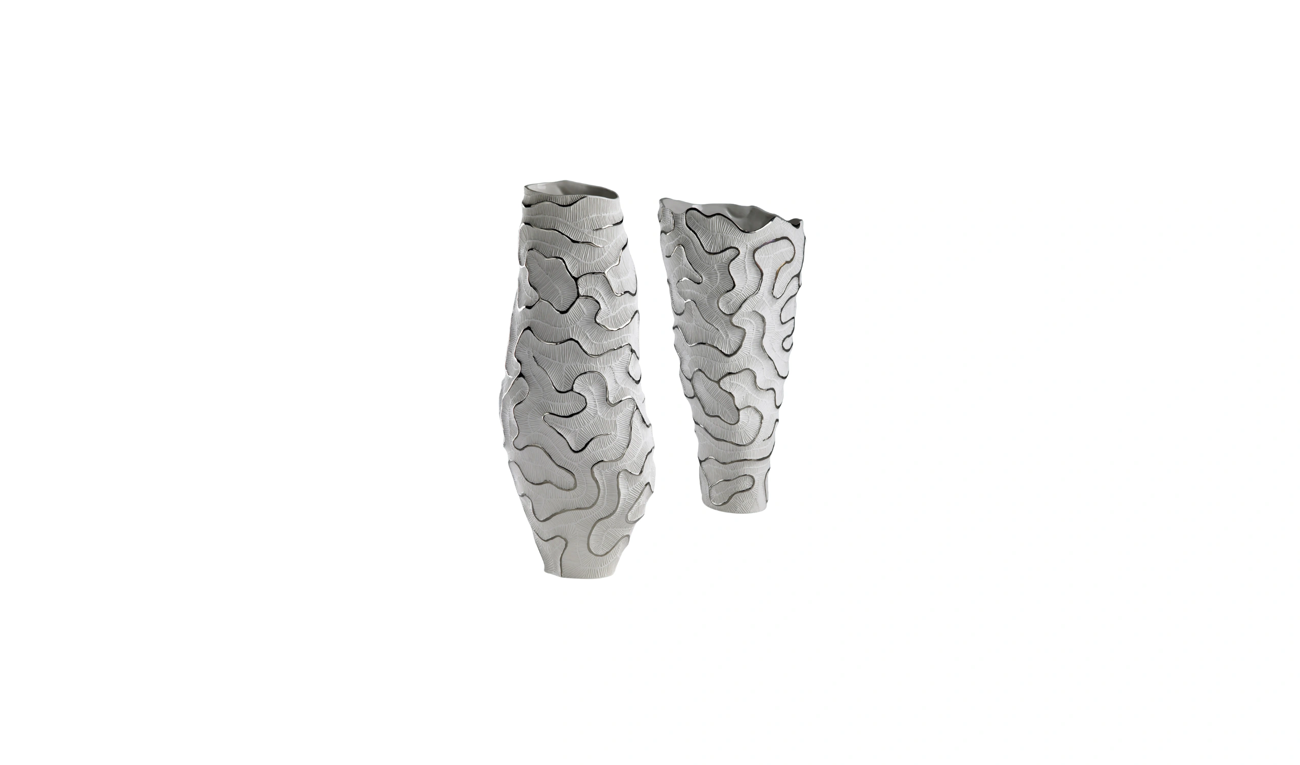 Vaso Fossilia Atlas