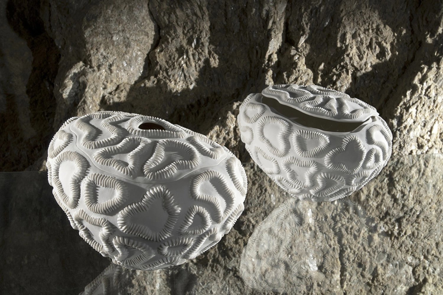 Vaso Fossilia Litos 1