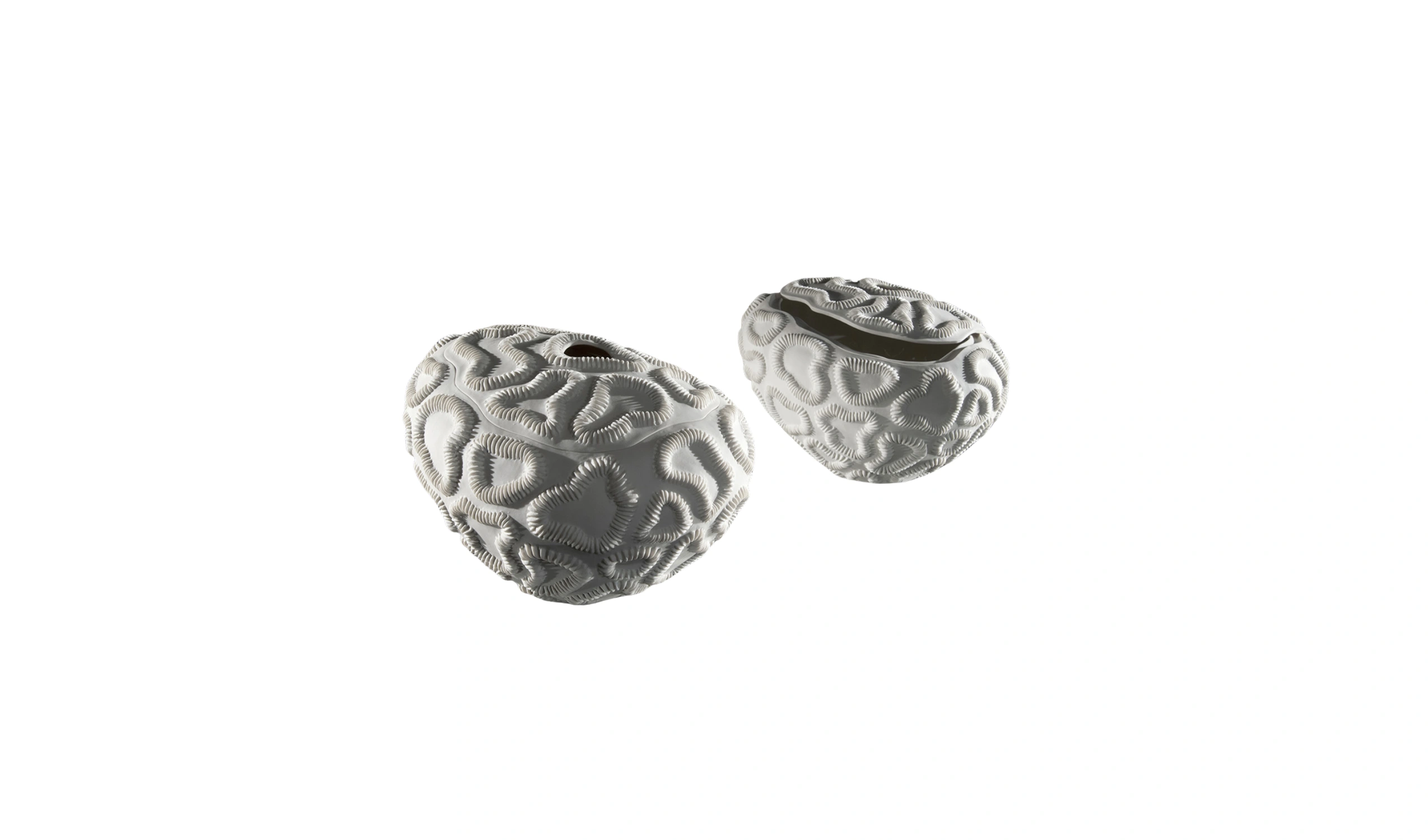 Vaso Fossilia Litos