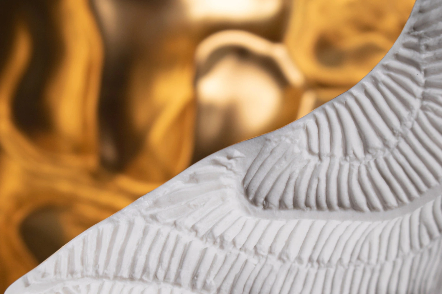 Vaso Fossilia Menhir 1