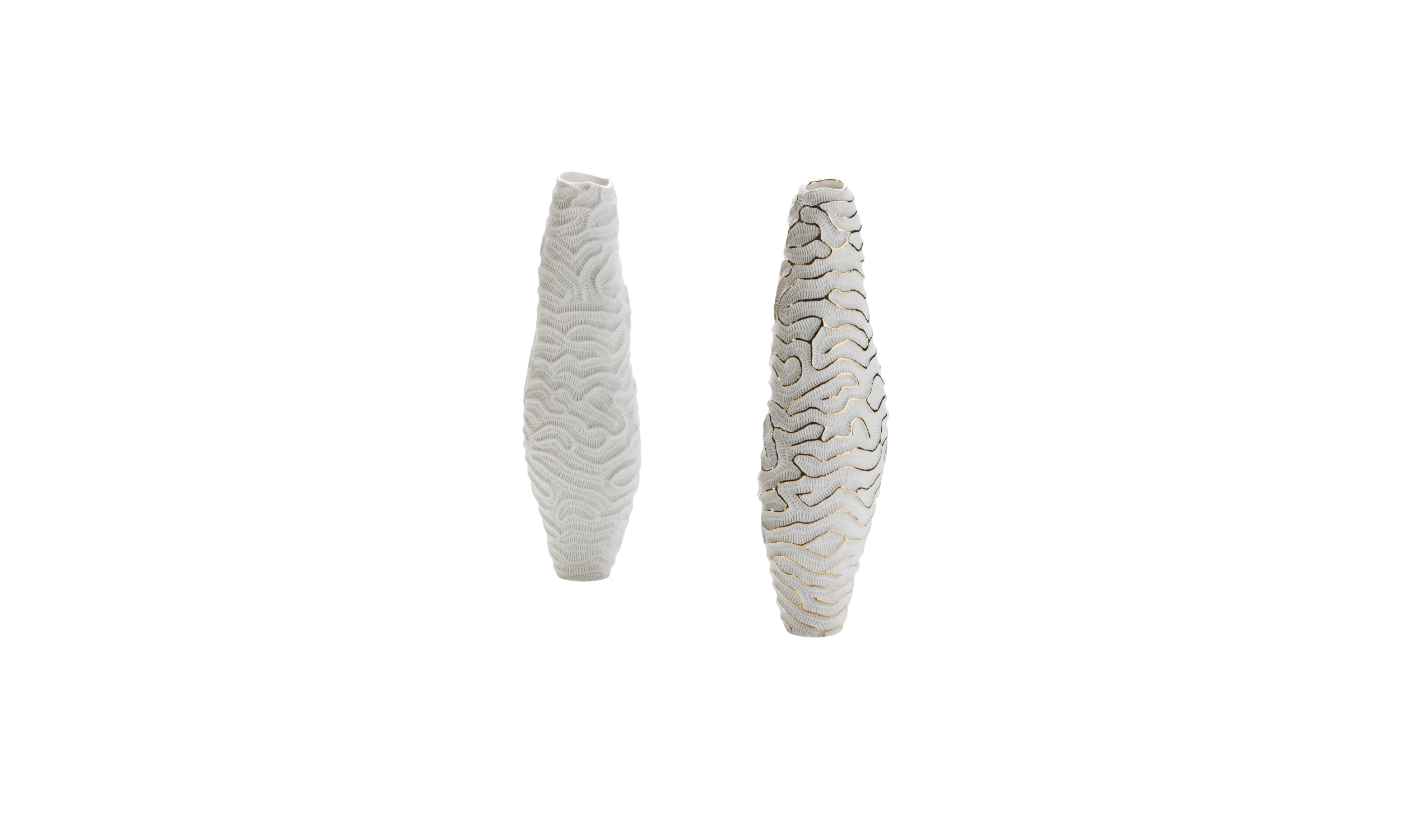 Vaso Fossilia Menhir