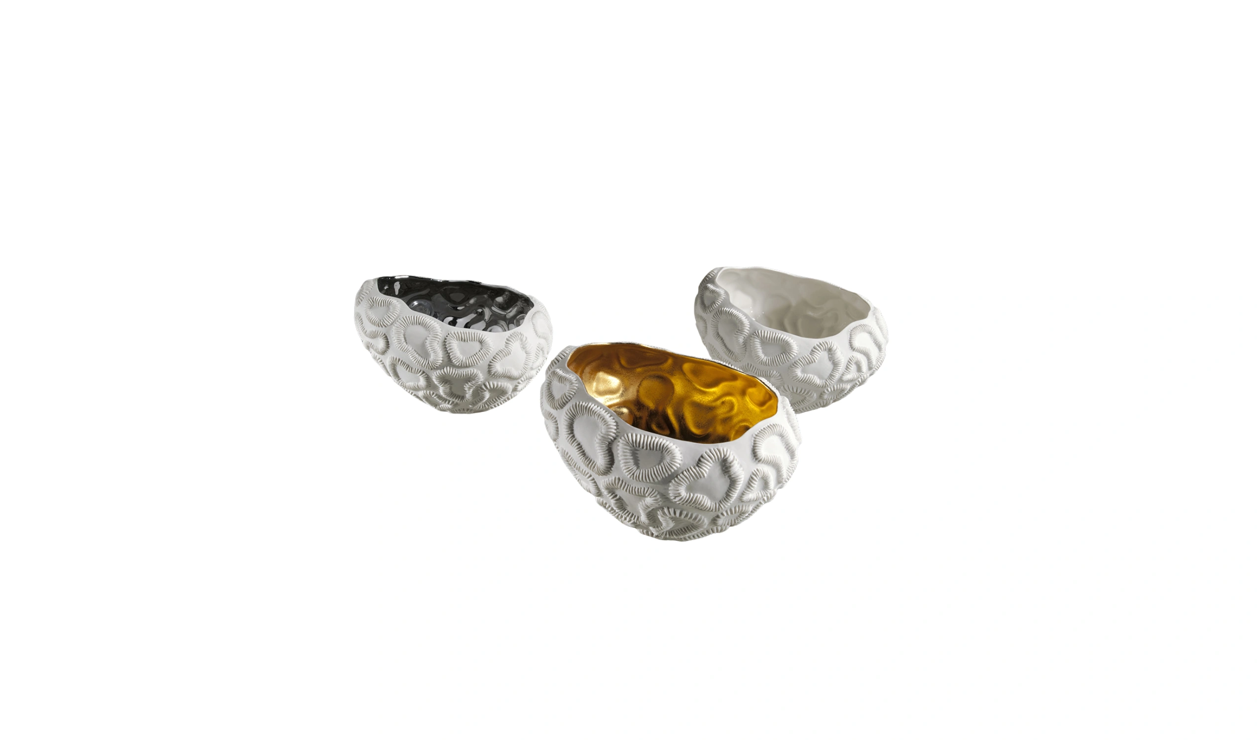 Vaso Fossilia Petra