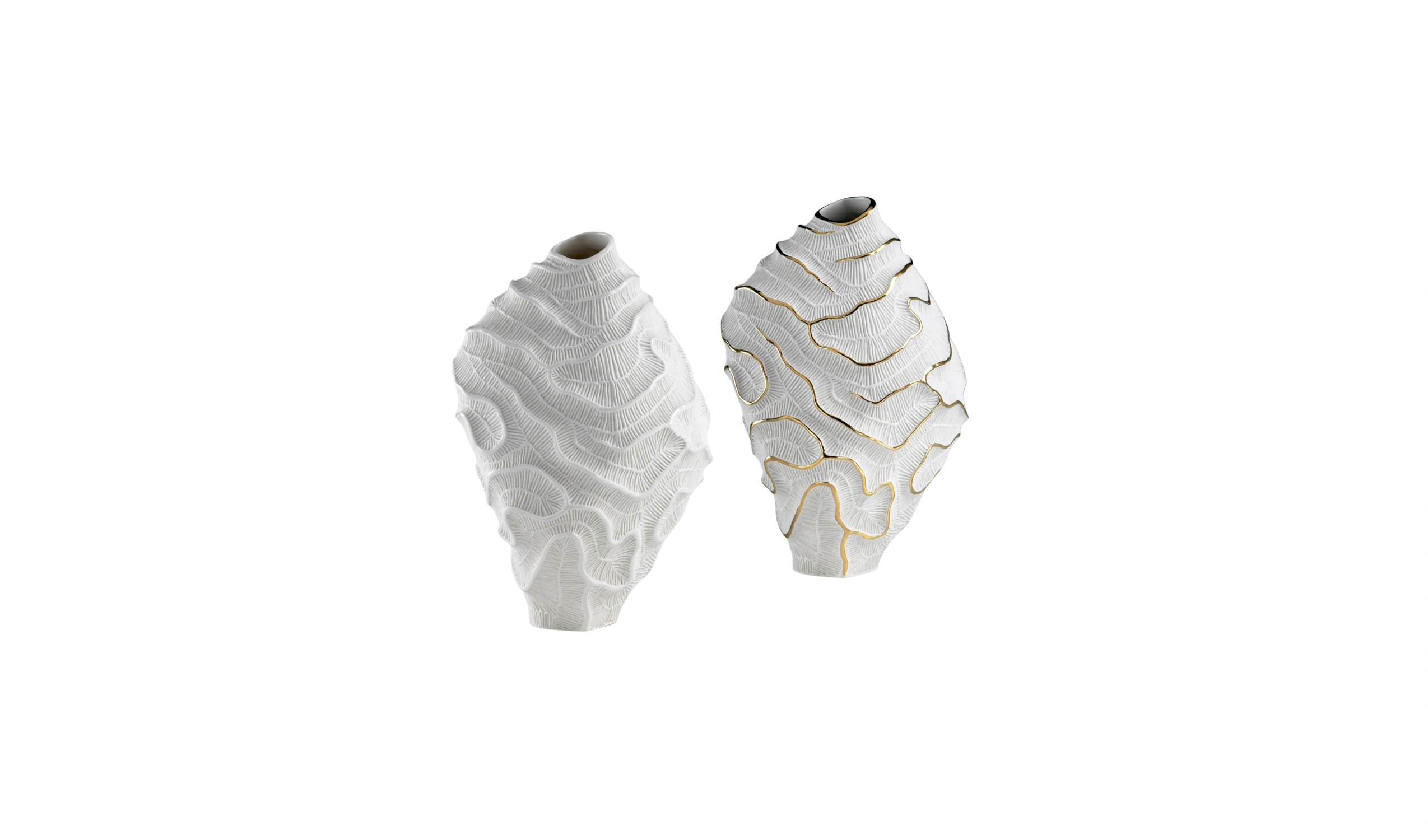 Vaso Fossilia Stony