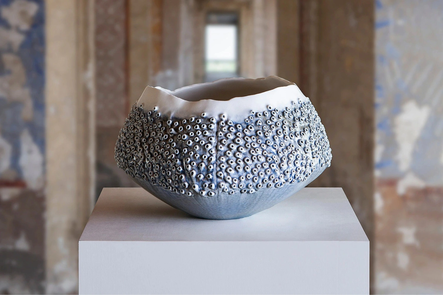 Vaso Porifera Oceano 1