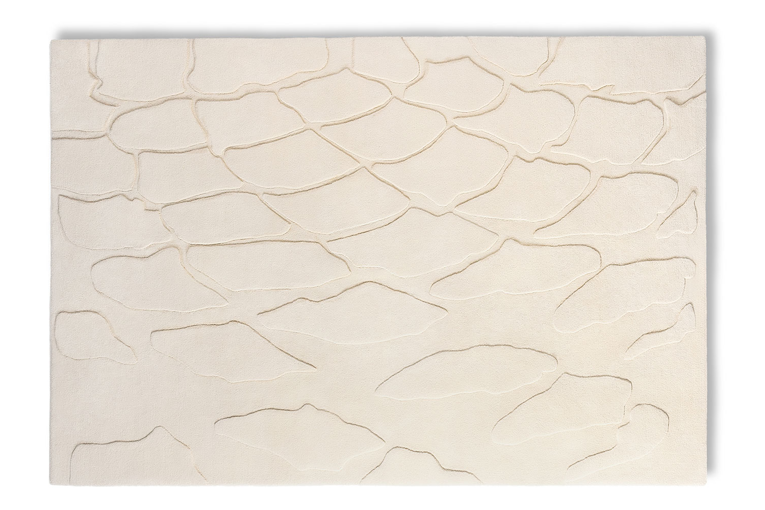 scale rug (2)