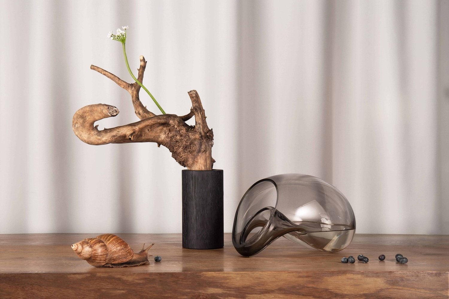 vaso gutta boon (3)