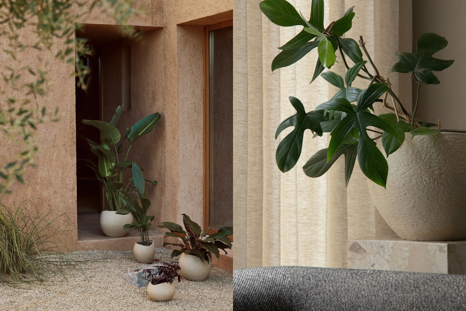 Plantas Planter 02