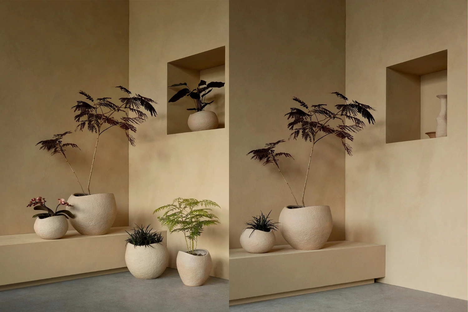 Plantas Planter 03