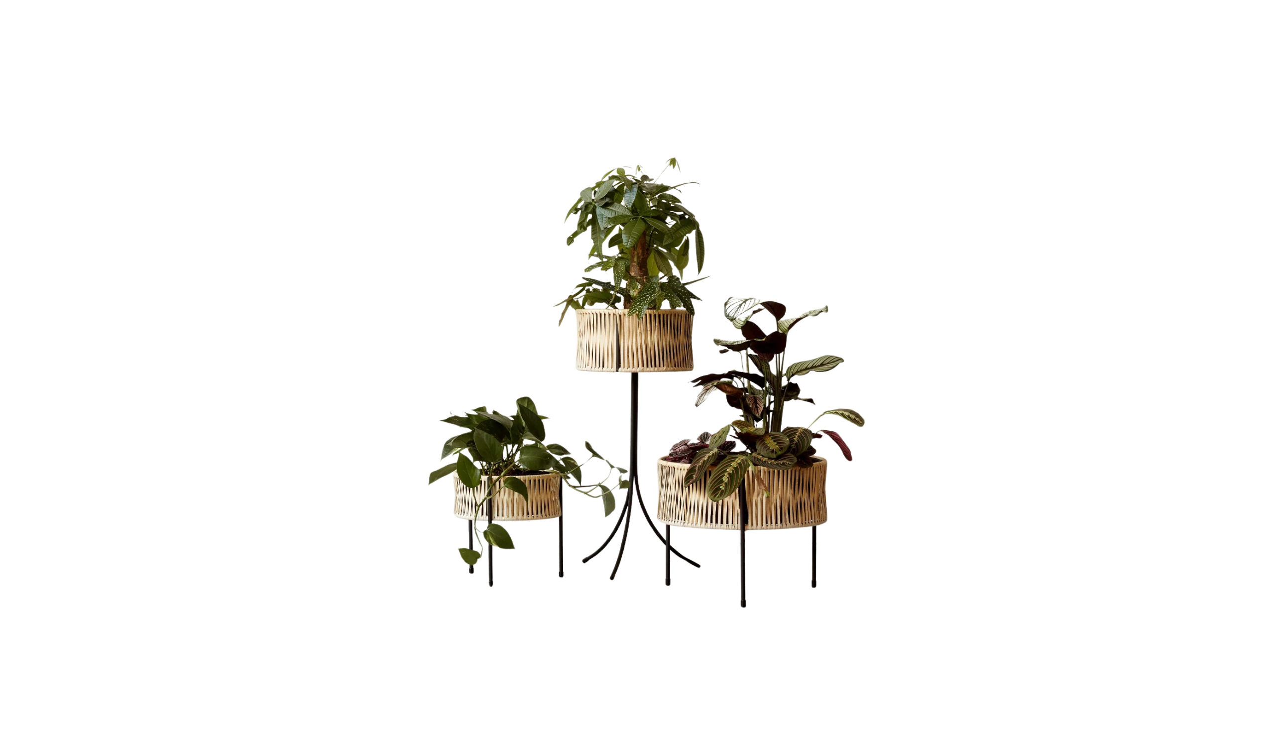 Umanoff Planter