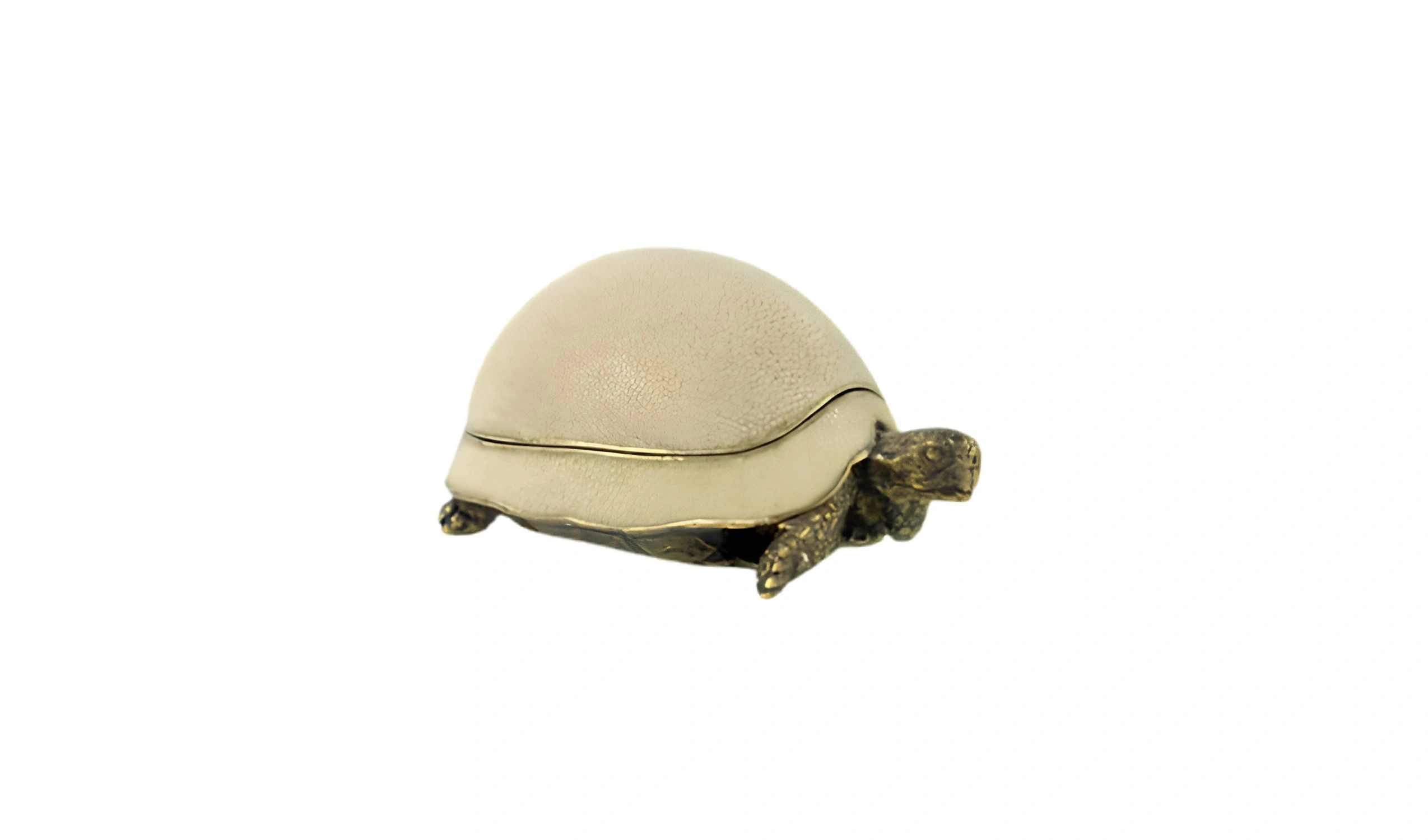 caixa turtle 1