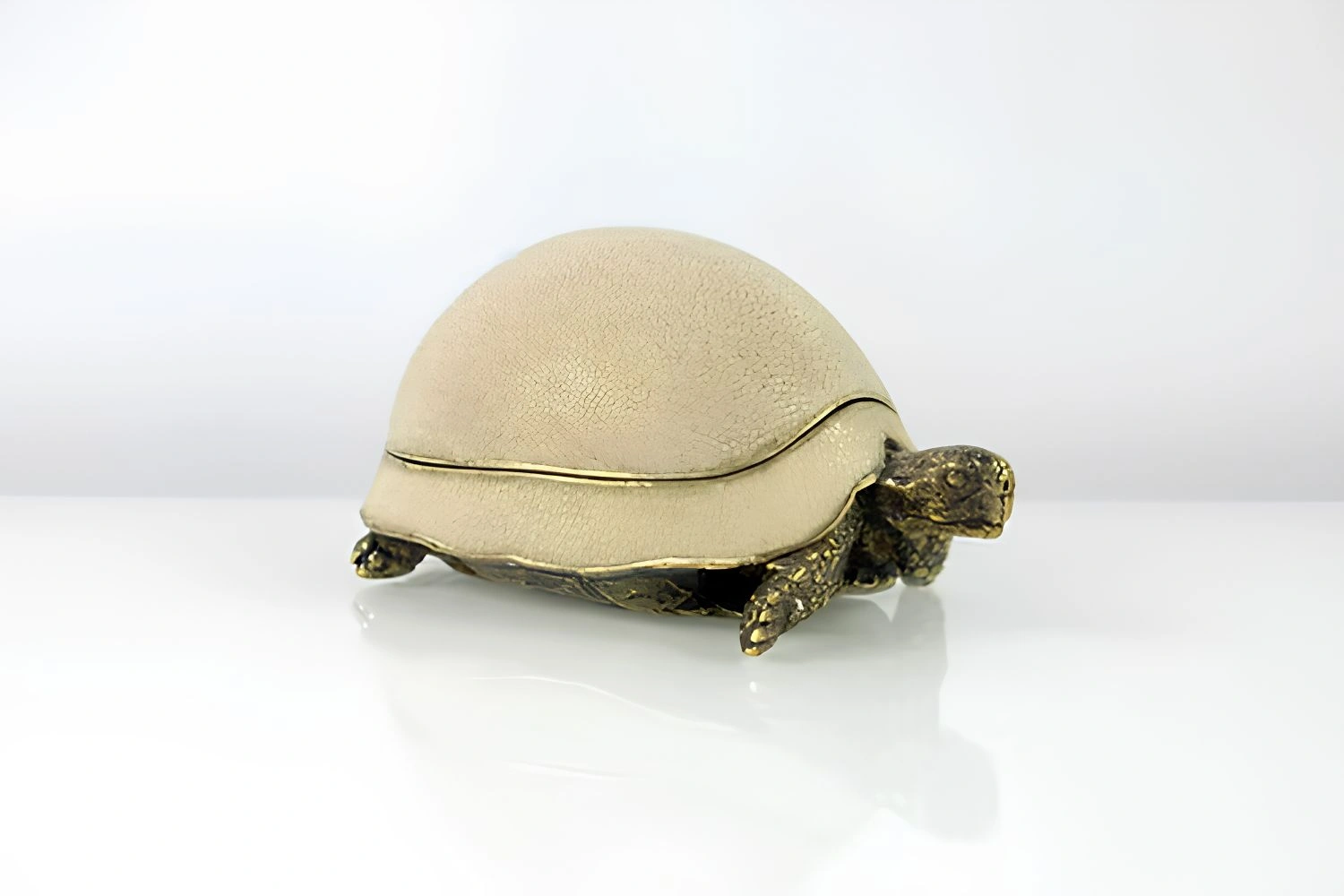 caixa turtle 2