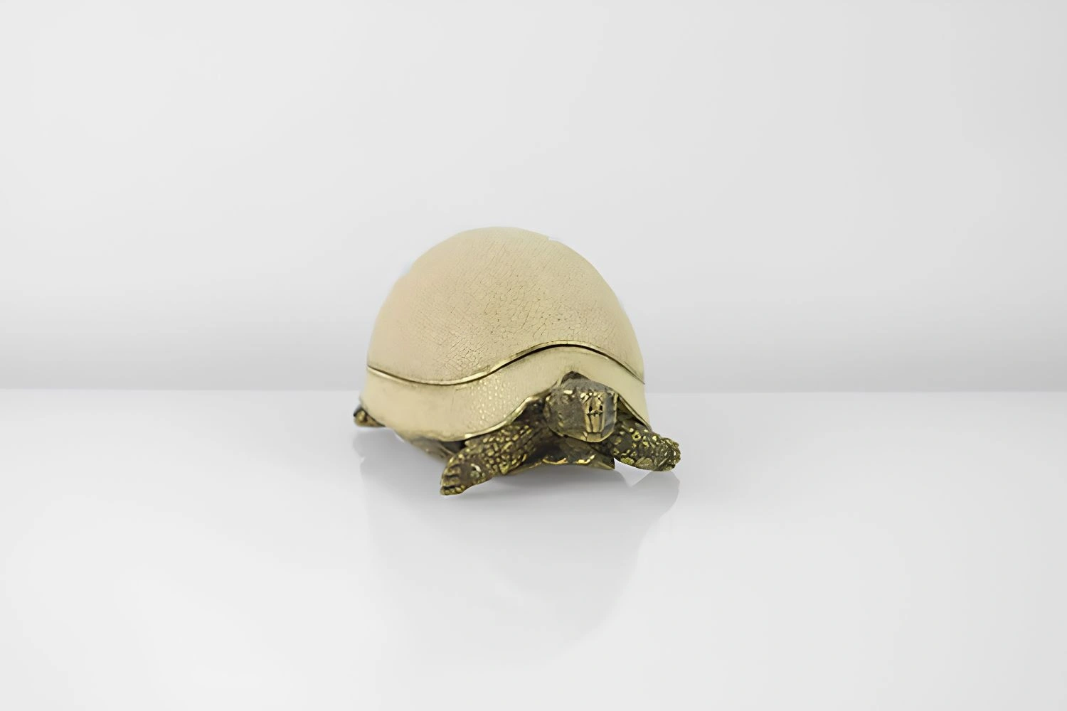caixa turtle 3