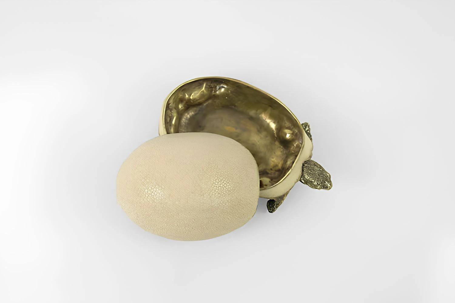 caixa turtle 5