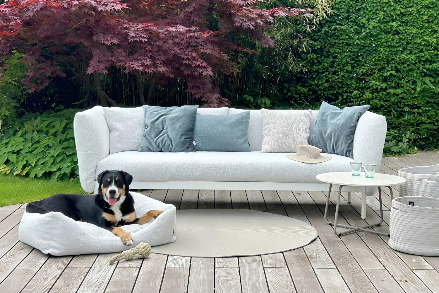 cama para Pet Doggy 2