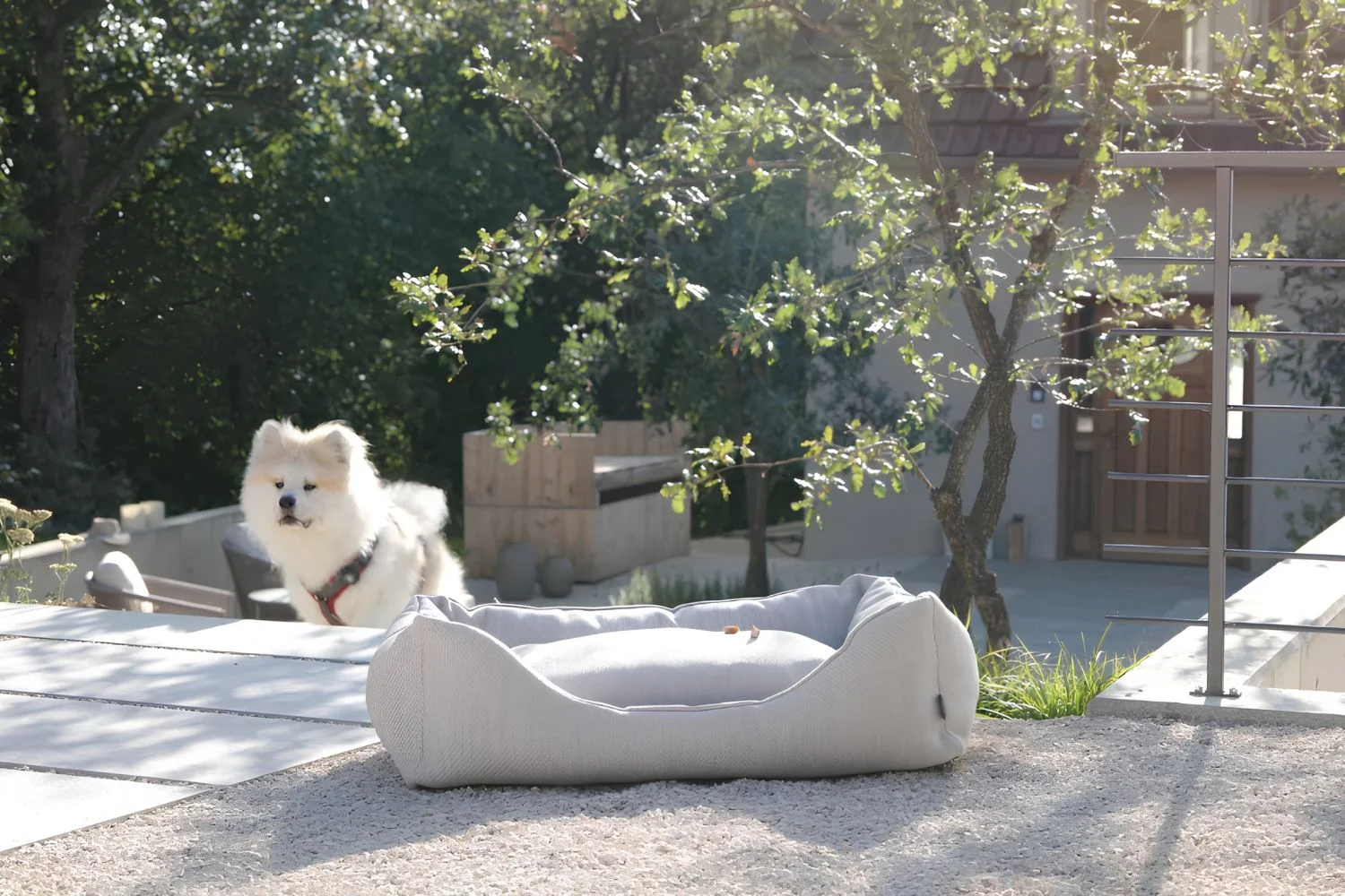 cama para Pet Doggy 3