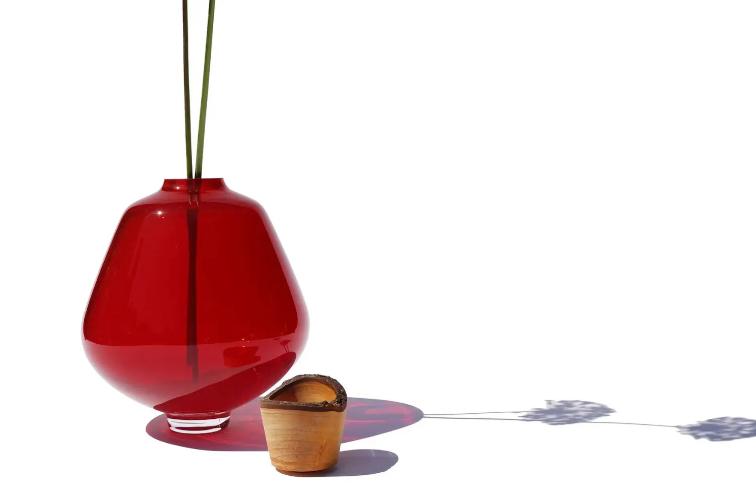 vaso sam (3)