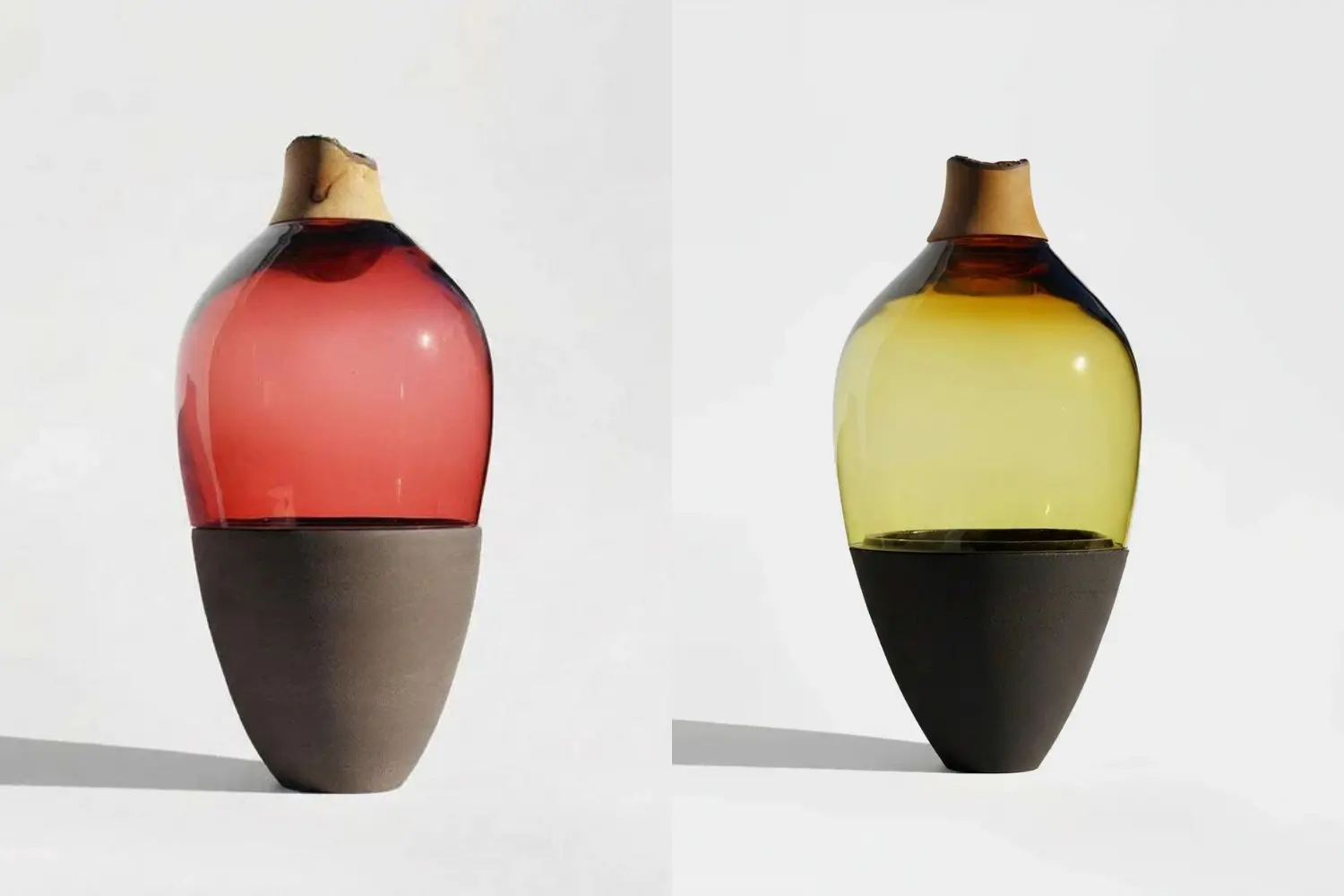 vaso taika (2)