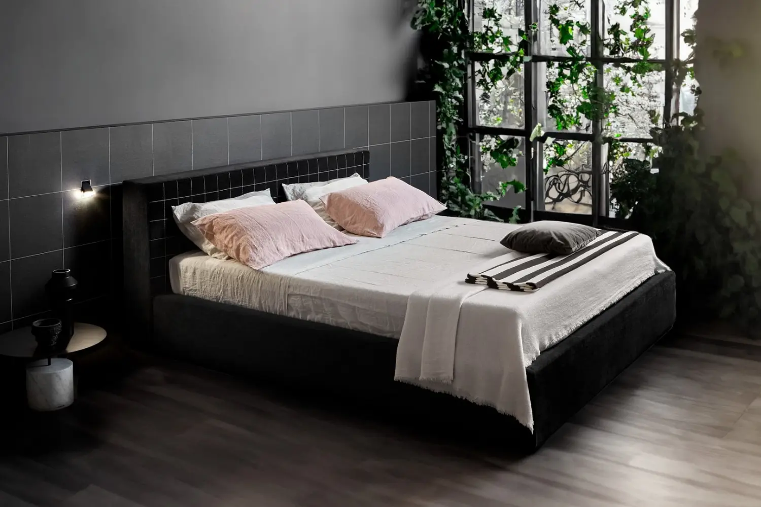 Cama TLR2