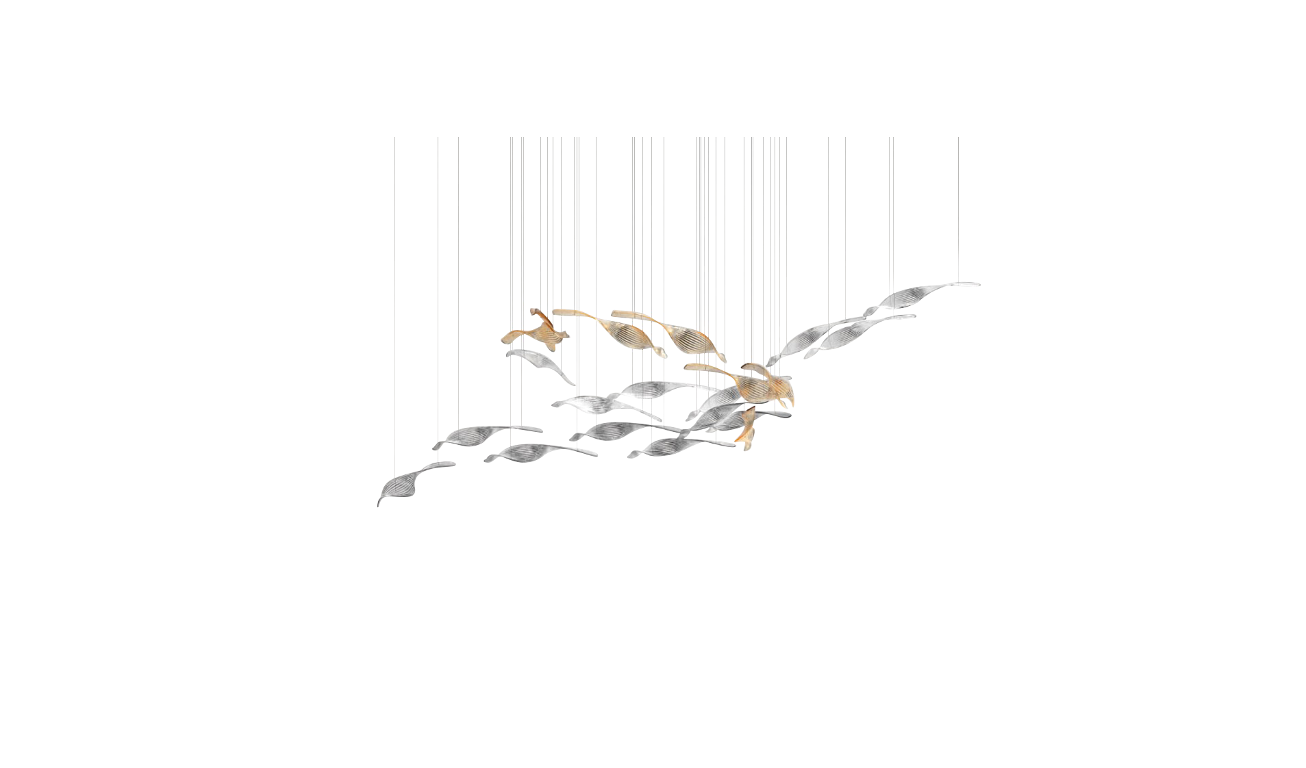 neda composition (1)