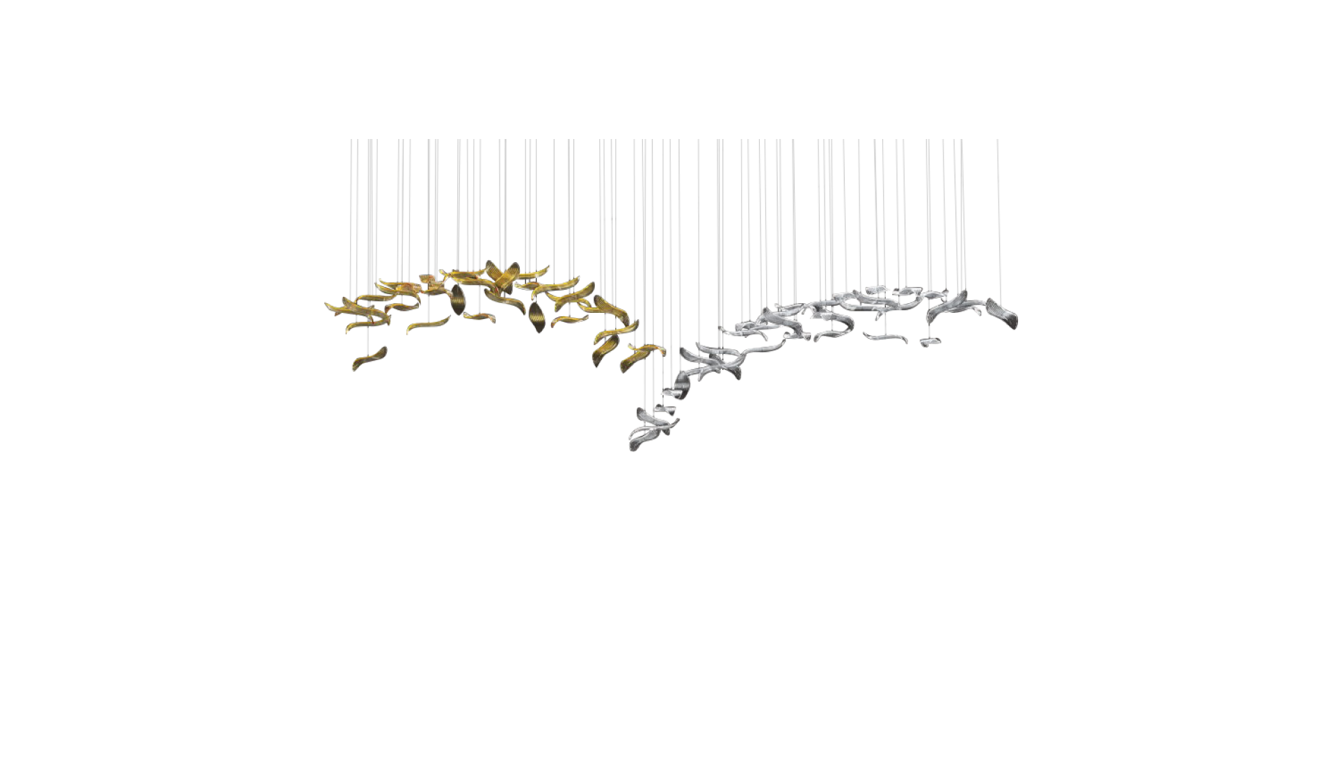 pluma composition (1)